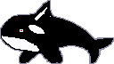 Orca